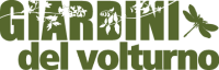 gdv logo verde